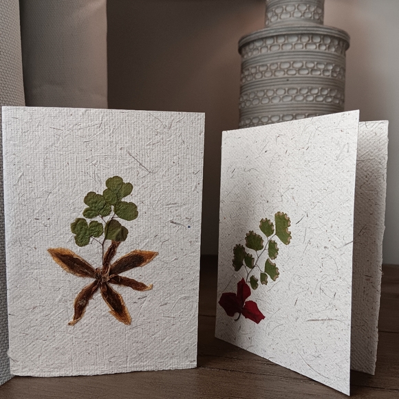 Unique and special cards, handmade and ecologically friendly ! - Picture 6 of 7